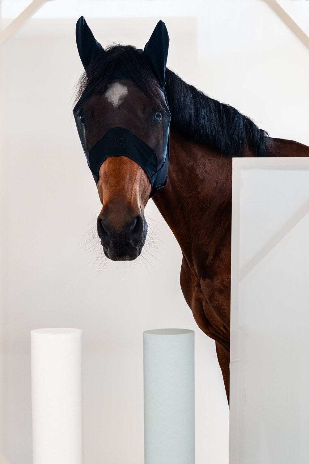 Horse Short Fly Mask| Cavalleria Toscana