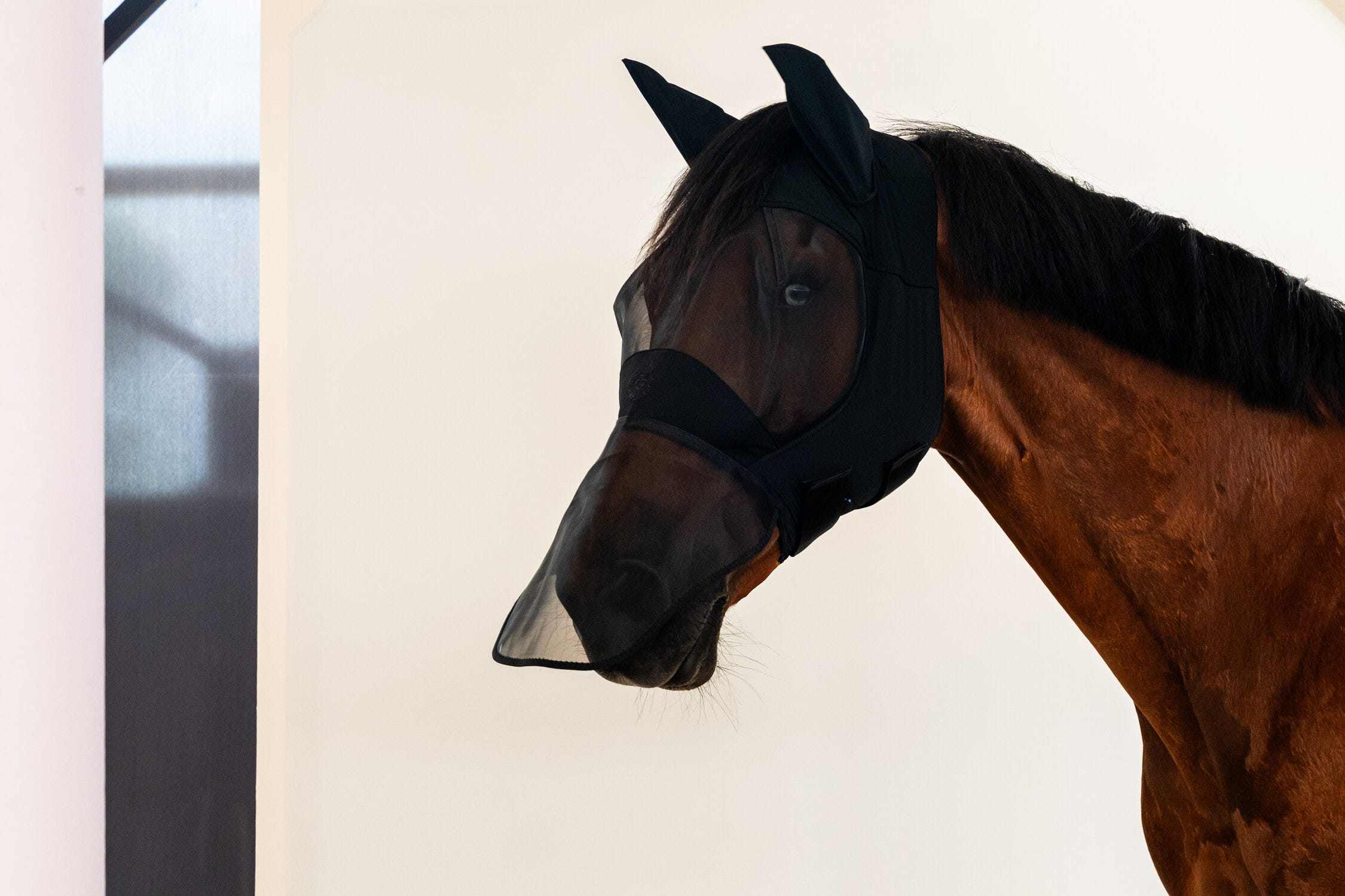 Horse Long Fly Mask| Cavalleria Toscana