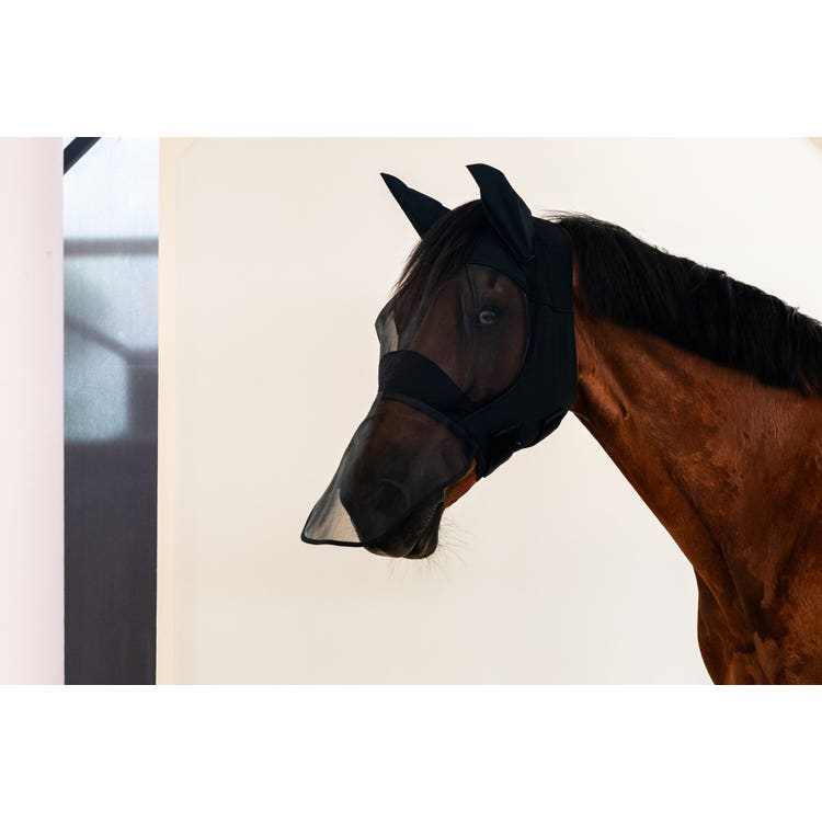 Cavalleria Toscana Maschera lunga anti-mosche per Cavallo con rete in nylon | Cavalleria Toscana BLACK-1