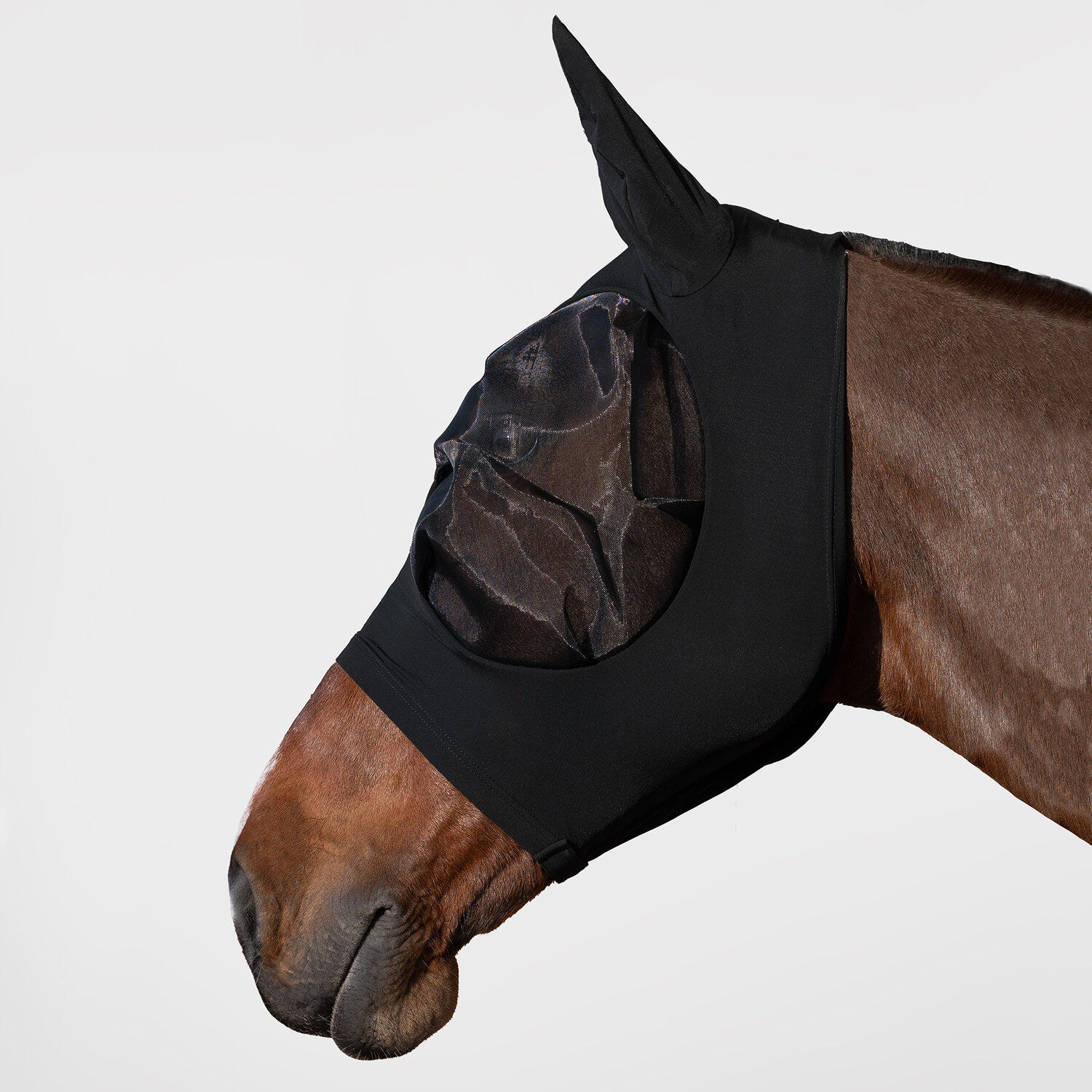 Horse fly mask