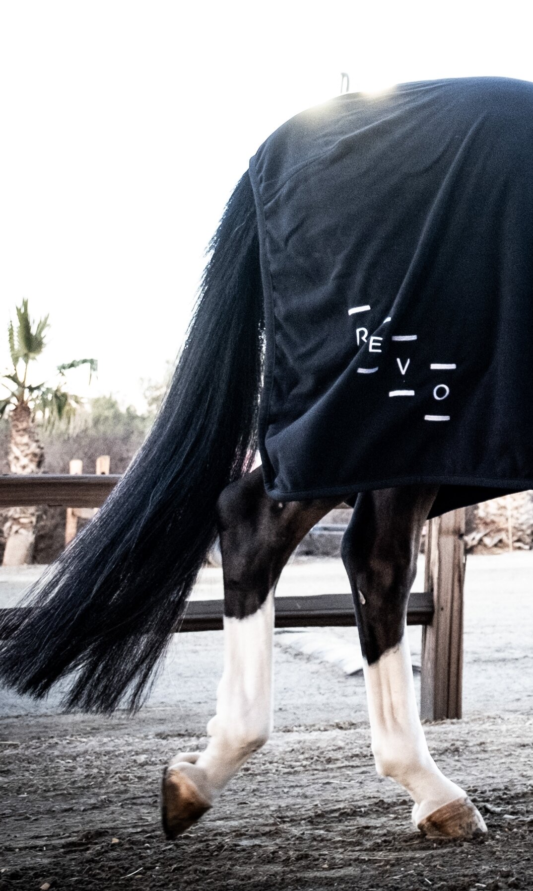 Fall Winter 2023 COLLECTION Accessories Horse